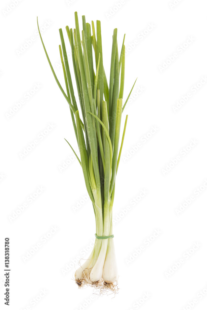spring onions bundle