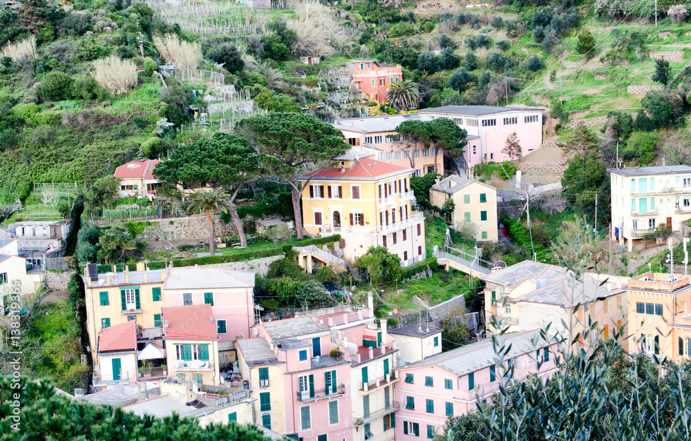 Typical homes of Monterosso, aerial view - Cinque Terre