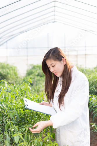 young asian woman working in green house