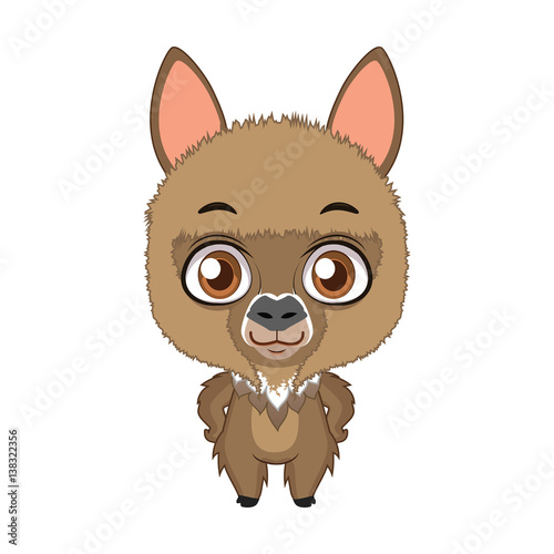 Cute stylized cartoon alpaca illustration ( for fun educational purposes, illustrations etc. )
