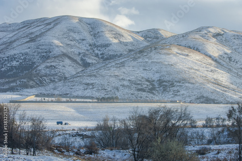 Treewinter, winter-tide, winter-time s covered with rime
 photo