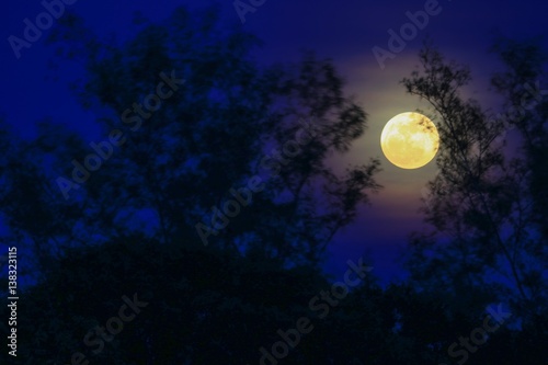 Full moon beautiful over dark sky at have tree shadow in night