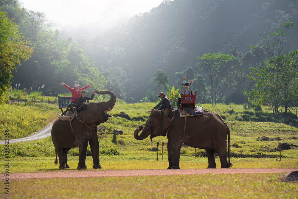 Two young women riding an elephant in the Asia natural scenery.