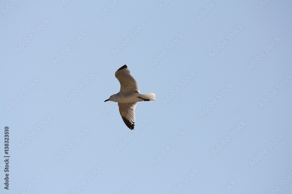 Obraz premium Landschaft und Meer2