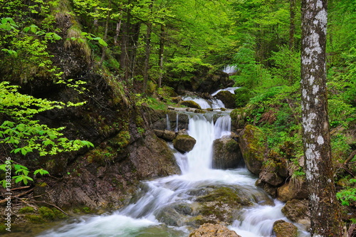 Wasserfall in Bach im Wald