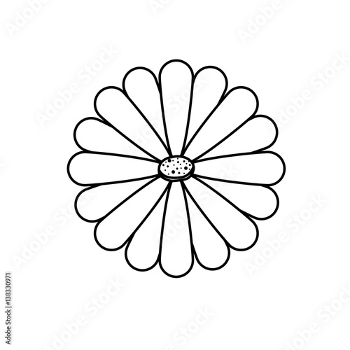 Beautiful flower ornament icon vector illustration graphic design