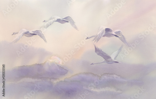 flying swans watercolor landscape