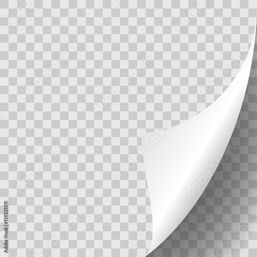 Page curl stylish vector illustration eps10