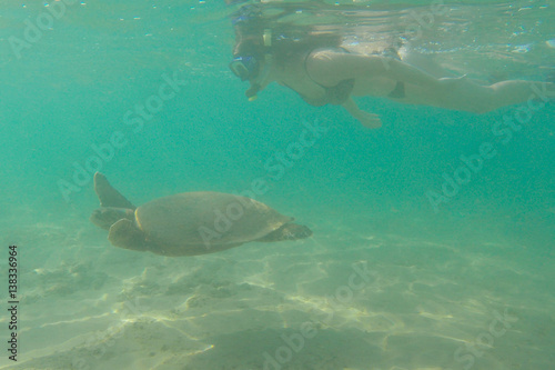 girl and turtle swimming in the ocean © irinastrakhova