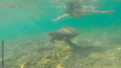 turtle and girl swimming in the ocean