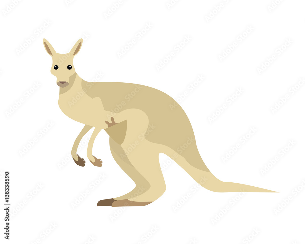 Kangaroo Vector Illustration in Flat Design