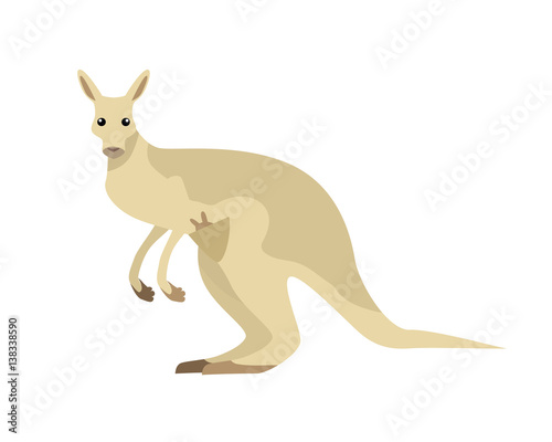 Kangaroo Vector Illustration in Flat Design
