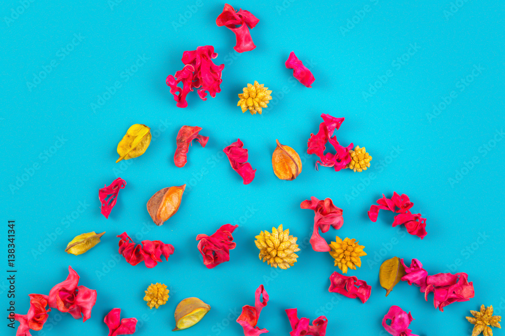 Pattern from dried flowers, exotic plants on blue background. Top view, flat lay. Pattern from dried flowers, exotic plants on blue background. Top view, flat lay.