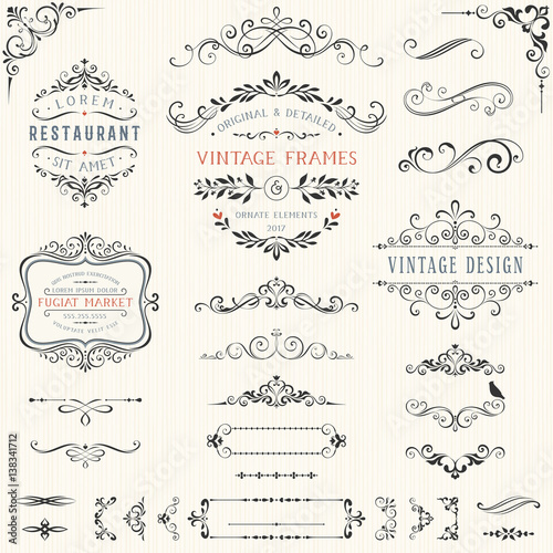 Ornate vintage design elements with calligraphy swirls, swashes, ornate motifs and scrolls. Frames and banners. Vector illustration.