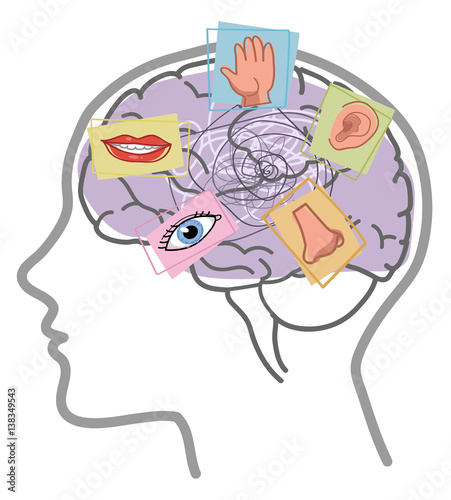 Five Senses disorder illustration. Sight, hearing, taste, smell and touch in human brain.