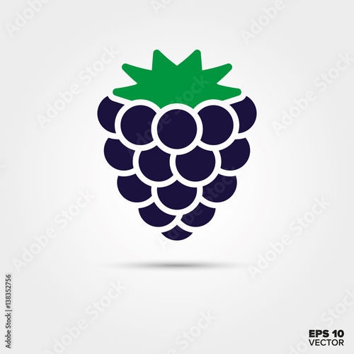 Blackberry fruit vector icon