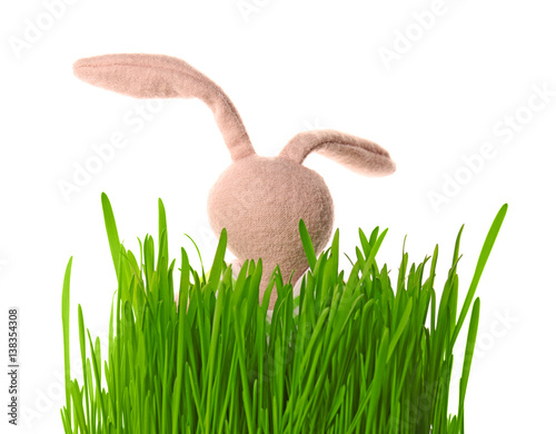 Easter bunny with green gra...