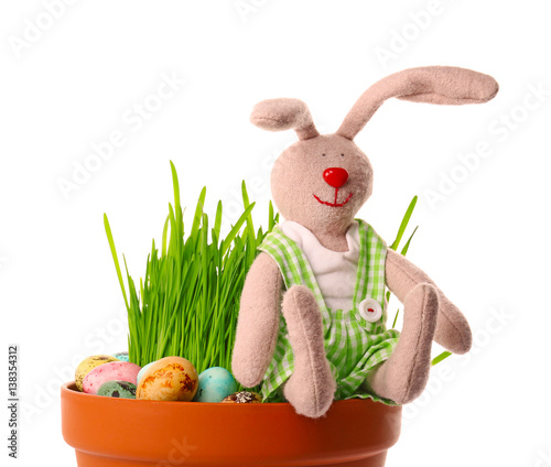 Easter bunny with eggs on w...