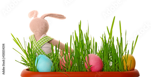 Easter bunny with eggs on w...