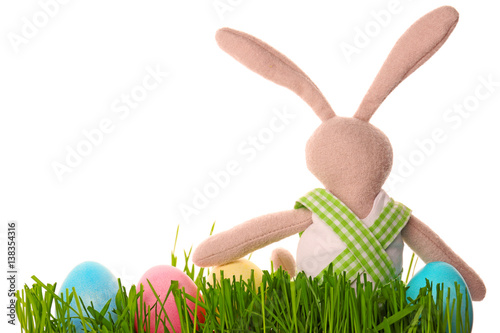Easter bunny with eggs on w...