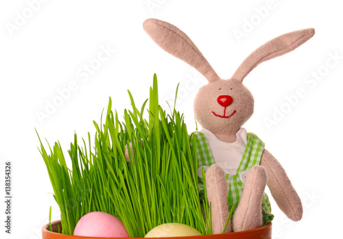 Easter bunny with eggs on w...