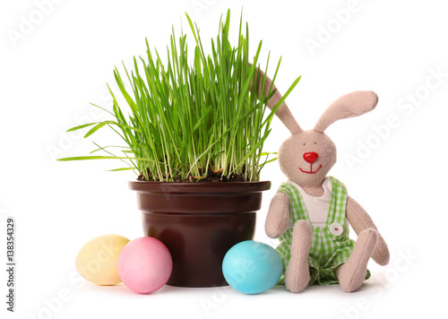 Easter bunny with eggs on w...