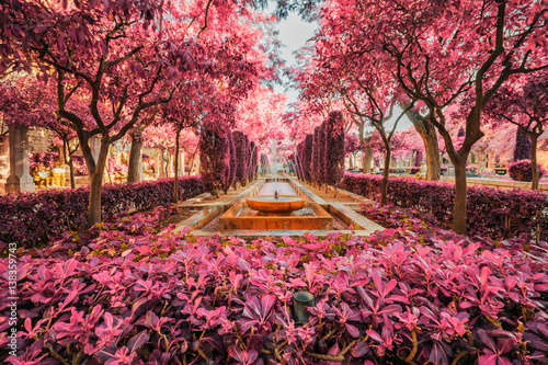 Canvas Print Cathedral garden