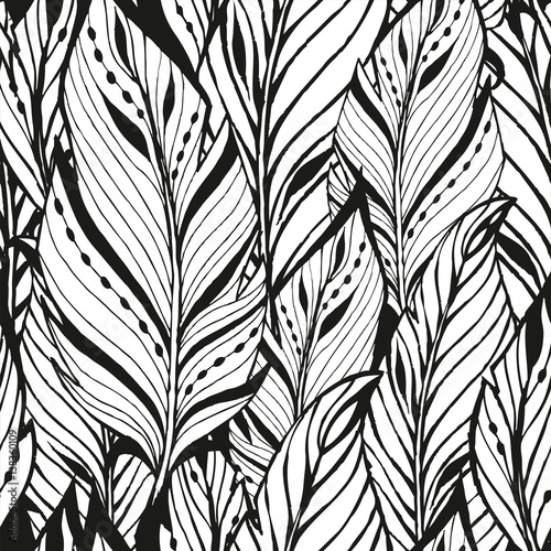 Black and white feathers. Texture. Coloring.
