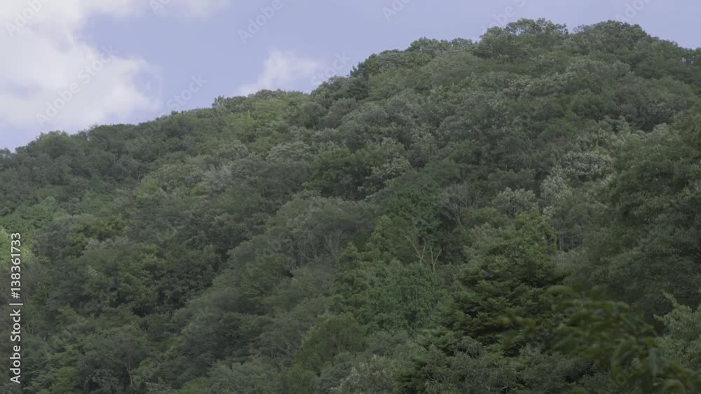 Mountain 1 Mountain 1