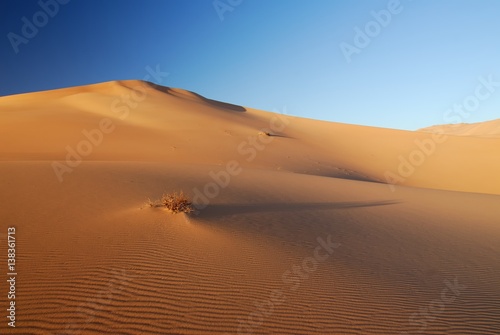 Sand dunes in Sahara desert  Libya