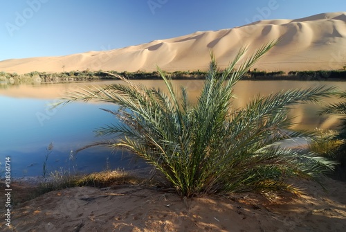 Ubari Oasi, Fezzan, Libya photo