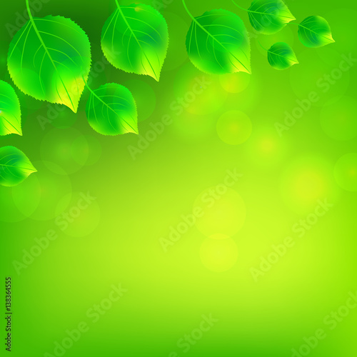 Green birch leaves whirl background. Vector illustration.
