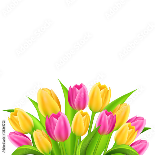 Spring background with colorful tulips bouquet isolated on white background. Vector illustration.