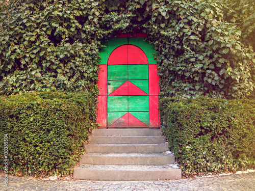 Fototapeta Naklejka Na Ścianę i Meble -  Garden Door