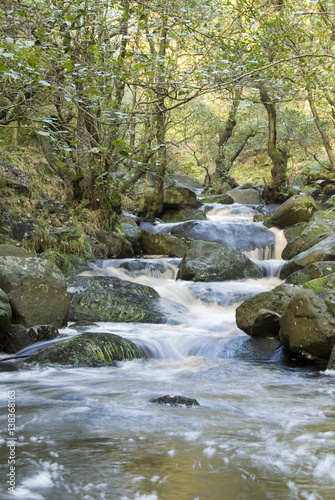 Burbage Brook flows down the forested rocky river valley of Padley Gorge, Longshaw Estate, Peak District, Derbyshire, UK