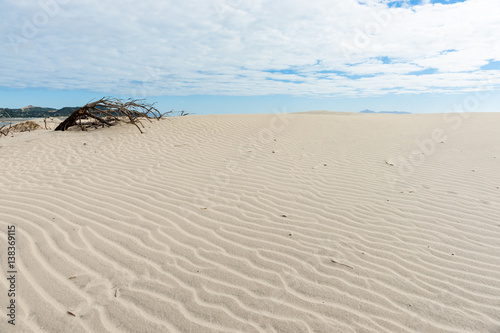 Stunning Mangawhai Heads sand dunes © Brian Scantlebury
