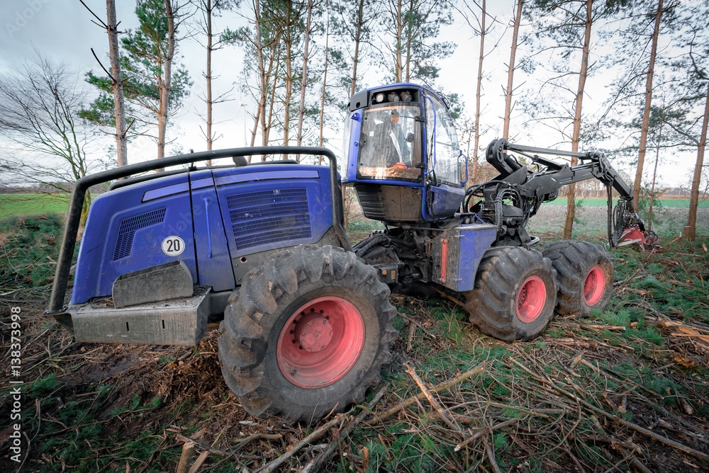 Fototapeta premium Forstwirtschaft - Holzvollernter in einem Waldstück