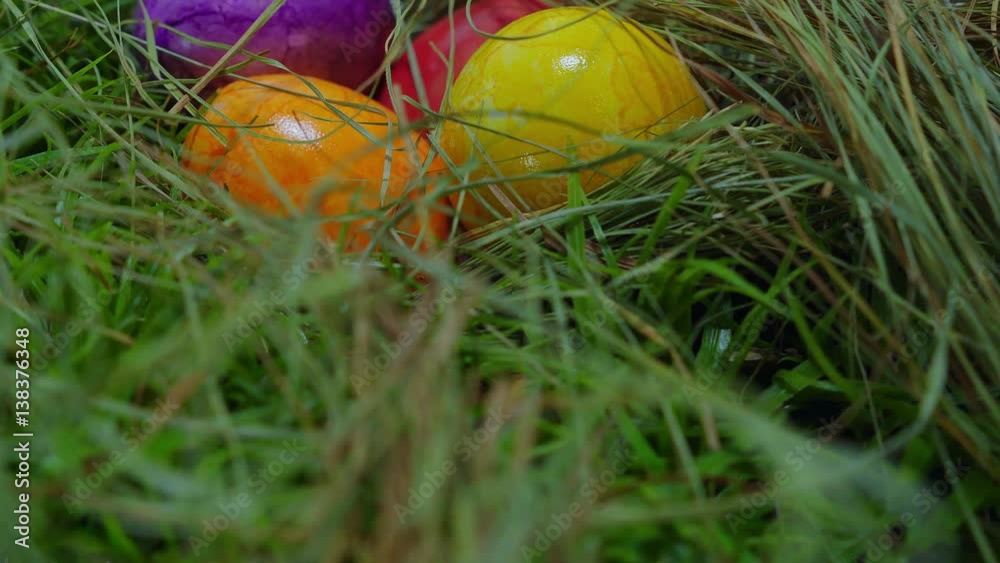 Happy Easter - colorful Easter Eggs in the grass Happy Easter - colorful Easter Eggs in the grass