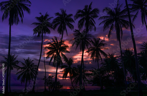 Tropical Sunset, Beautiful sky and palms © username