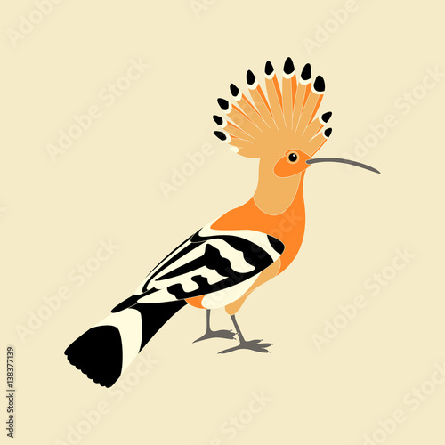 hoopoe vector illustration style Flat