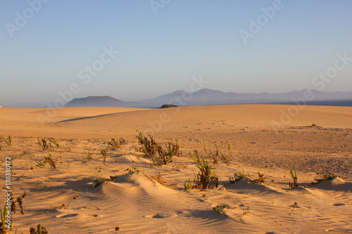 Slope hill sand on yellow dunes on blue sky background. Sunrise  morning. Sustainable ecosystem. Canary island  Fuerteventura