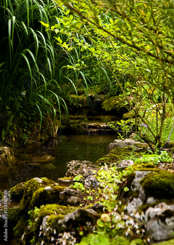 Quiet stream in botanical gardens, Geneva, Switzerland.