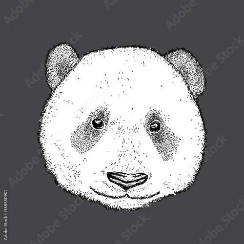 Fototapeta Naklejka Na Ścianę i Meble -  Beautiful panda. Vector illustration.