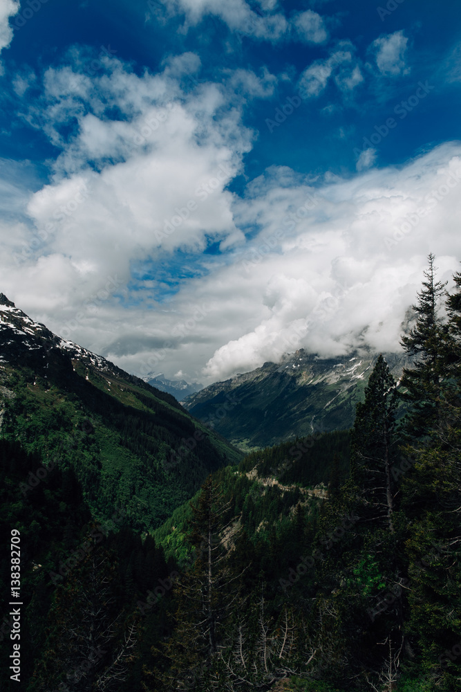 Summer in Alps. Green forest and mountains in clouds