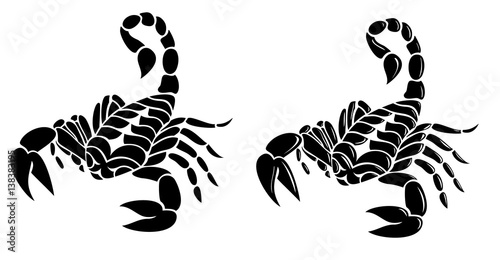 scorpion tattoo vector design