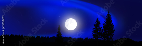 Blue northern lights. Moonlight. Coniferous forest. Website template.