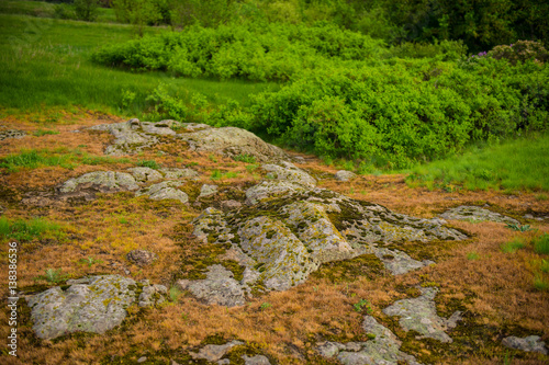 granite rocks and plants in the spring park