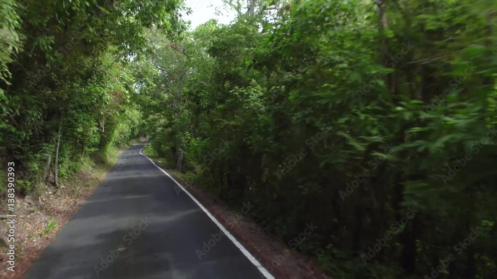 tree lined one way road at maho bay, st john, united states virgin islands tree lined one way road at maho bay, st john, united states virgin islands
