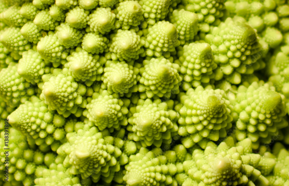 close up of green cabbage pattern close up of green cabbage pattern