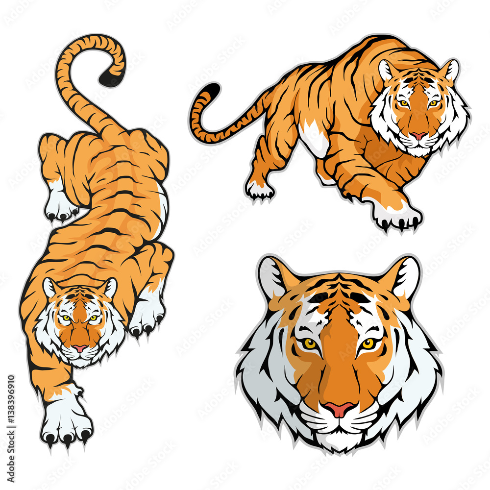 15 Best Tiger Coloring Pages for Kids and Adults in 2023